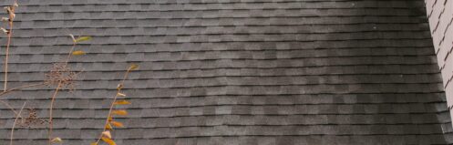 shingles roof