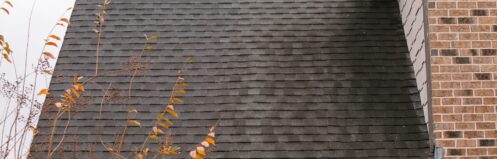 Gray shingle roof with a brick wall and autumn foliage in the foreground.