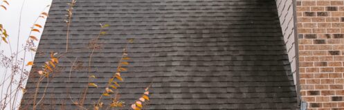 shingle roof