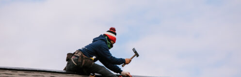 shingle roof