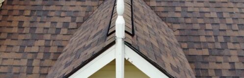 Roof shingles