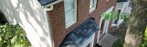 new shingles