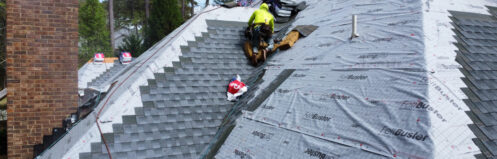 shingle roof replacement