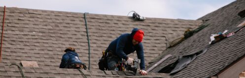Shingle Roof