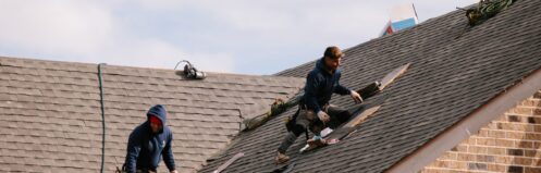 Shingle Roof Replacement